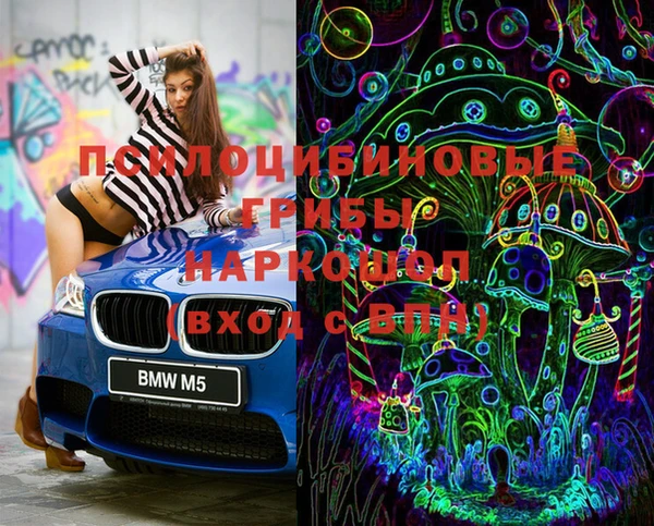 2c-b Алзамай