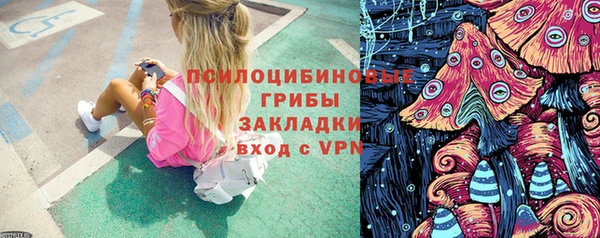 прущие крисы Алексеевка