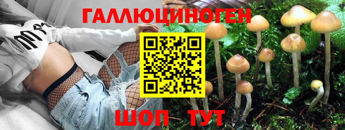 Нефтекамск  Галлюциногенные грибы мухоморы  Вход с VPN 